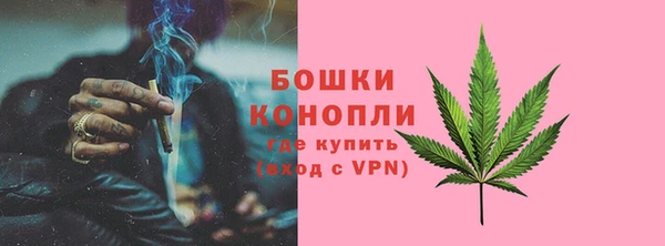 сатива Сатка
