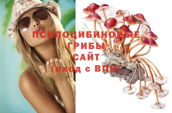 метадон Алексеевка