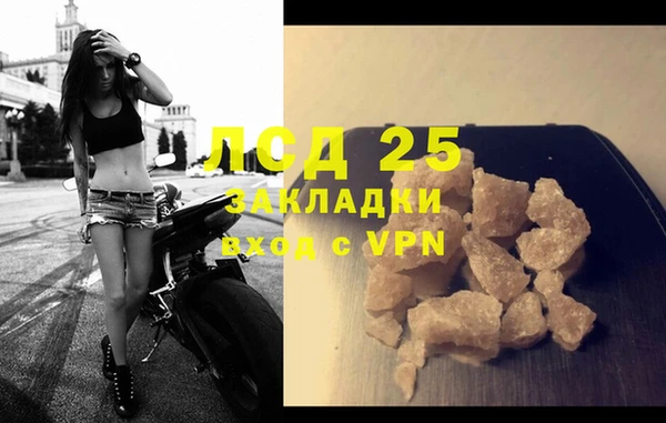 PSILOCYBIN Сафоново
