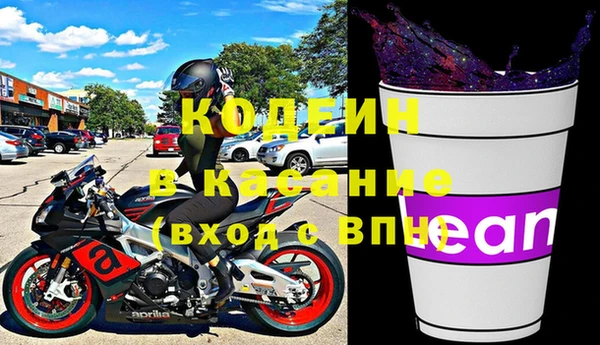 сатива Сатка